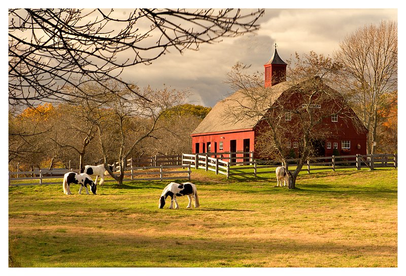 Gypsy StablesN.Stonington LandscapesScenicsNature Scenic and